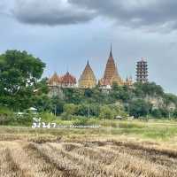 🌾緑の中の絶景カフェ！MEENA Cafeで非日常を体験🇹🇭