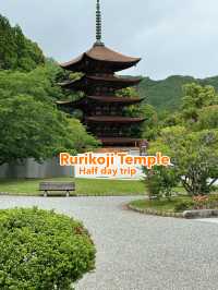 Explore Rurikoji Temple