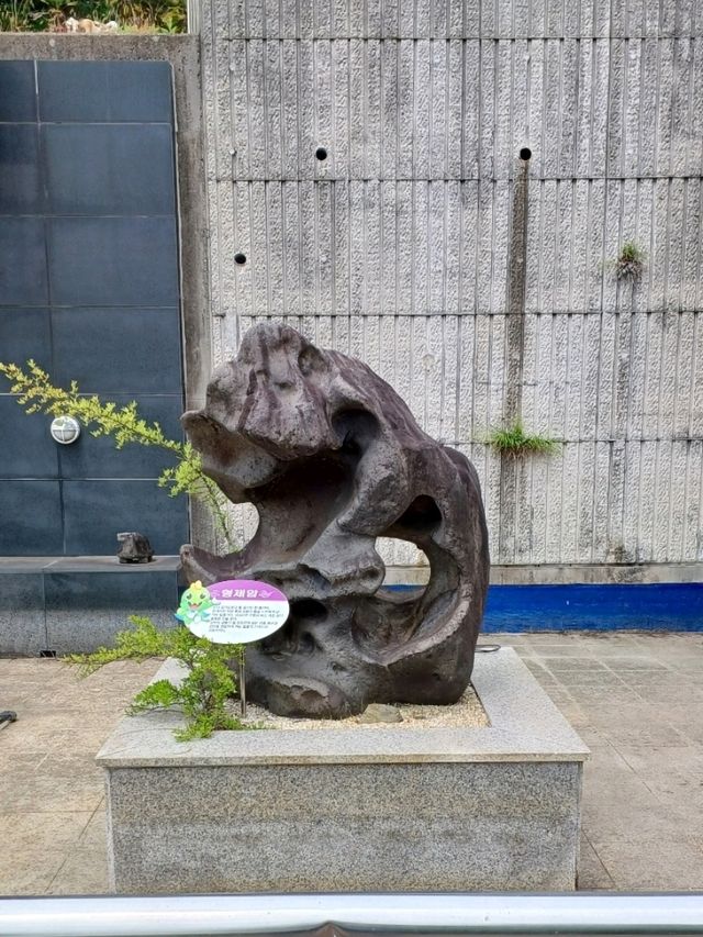 공룡부터 이순신까지! 지루할 틈 없는 고성 여행지