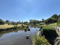 熊本-水前寺成趣園：優雅靜謐的日本名園