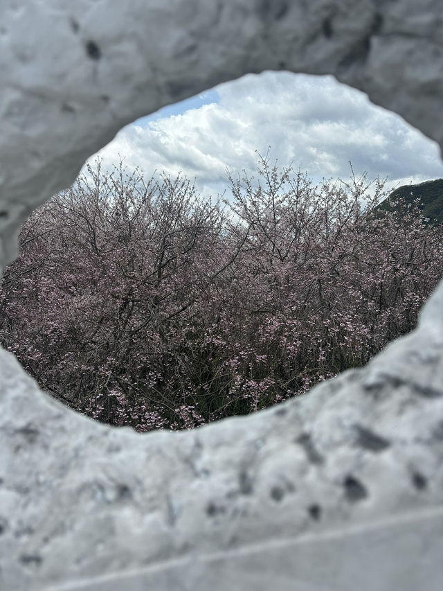 【日本/広島】未来心の丘