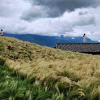 Lijiang must visit!!