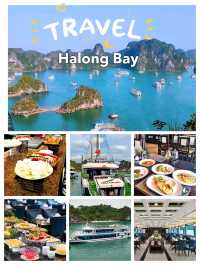  Halong Bay Cruise Trip 