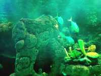 Dive Into the Wonders of SeaWorld Ancol