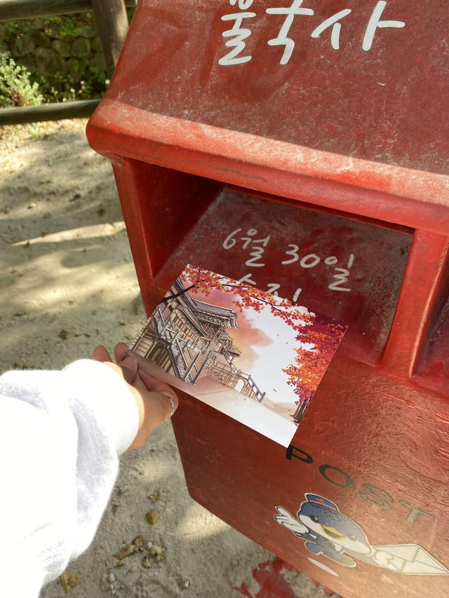 🏯 천년의 숨결을 따라 걷다, 경주 불국사 
