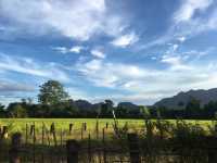 🌾 Breathe in the Peace: Vang Vieng's Endless Rice Fields