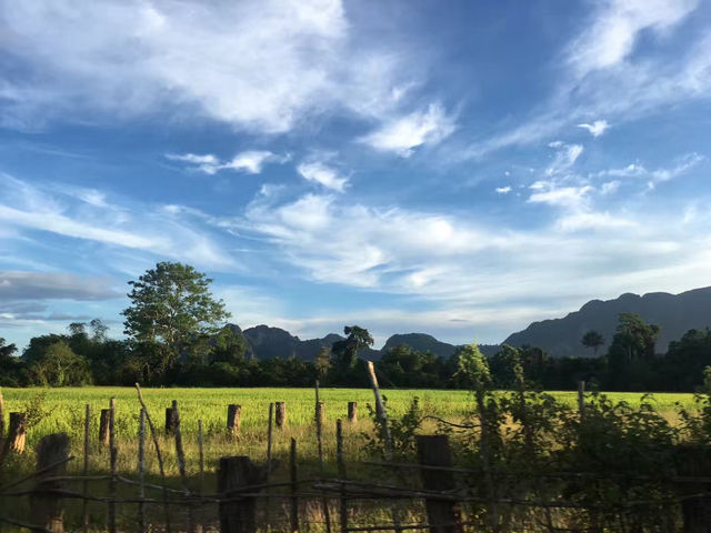 🌾 Breathe in the Peace: Vang Vieng's Endless Rice Fields
