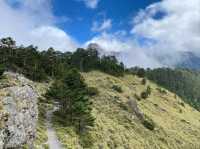 Quiet Majesty on the Trail to Yushan West Peak