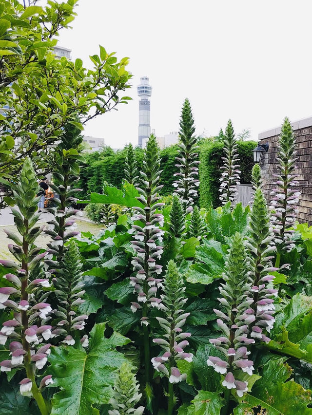 America Yama Park, a peaceful urban oasis located just above Motomachi-Chukagai Station
