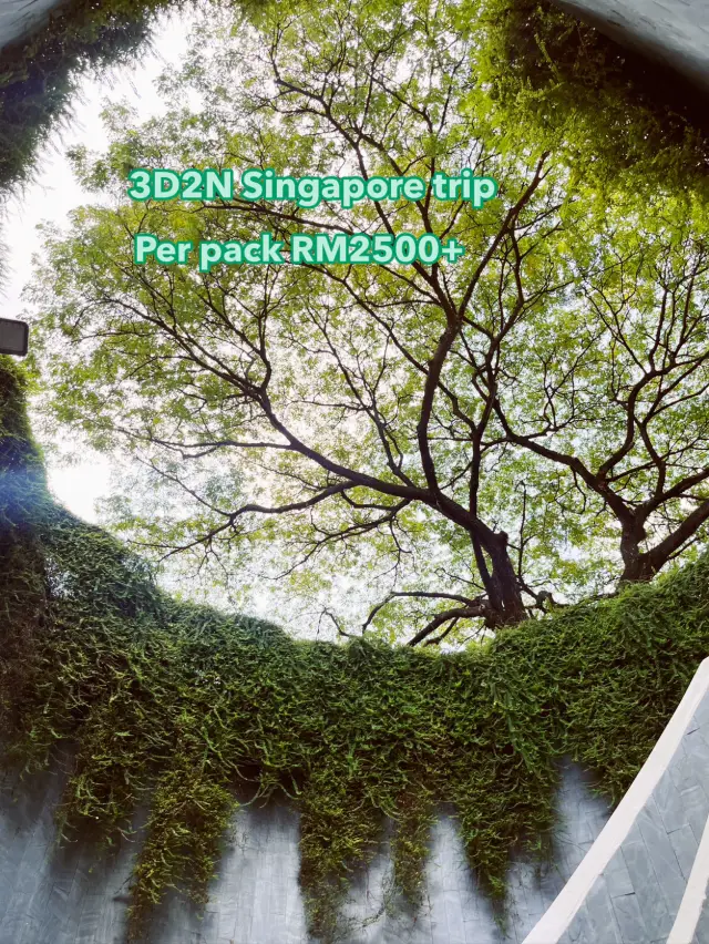 3D2N Singapore Getaway 🇸🇬✨ City Views, Iconic Spots & Chili Crab Indulgence