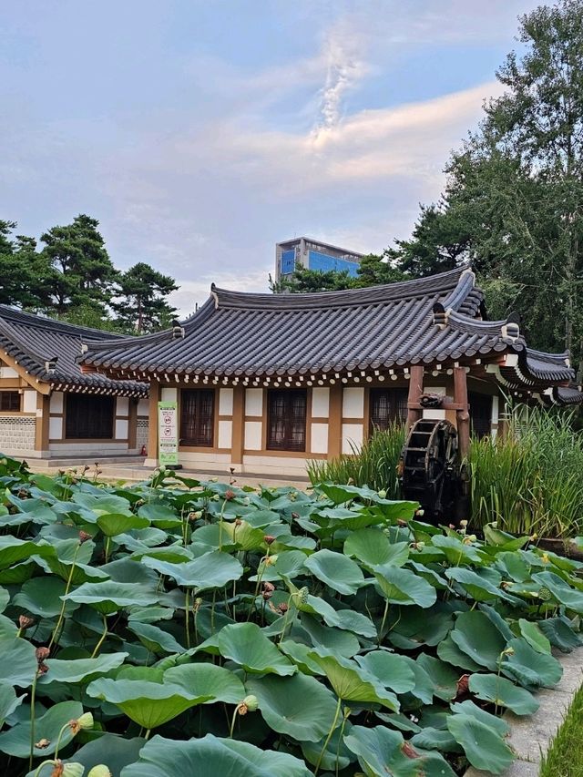 인천 송도 미추홀 공원 여유 느끼기