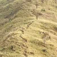 🌄 Mt. Mariglem Adventure Guide: Conquer Zambales’ Scenic Gem