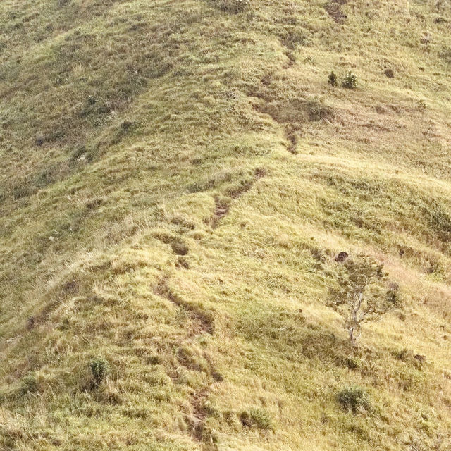 🌄 Mt. Mariglem Adventure Guide: Conquer Zambales’ Scenic Gem