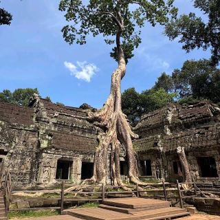 Ta Prohm – Cambodia