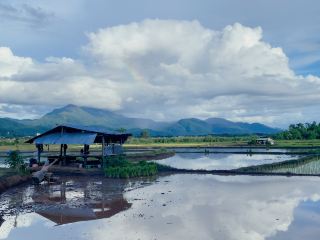 湄沙良縣傍晚漫步