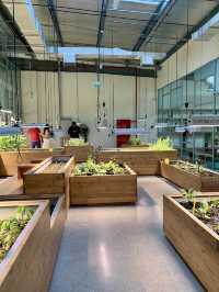 Dubai’s Most Unique Café: Farm-to-Table & Telework at The Growhouse