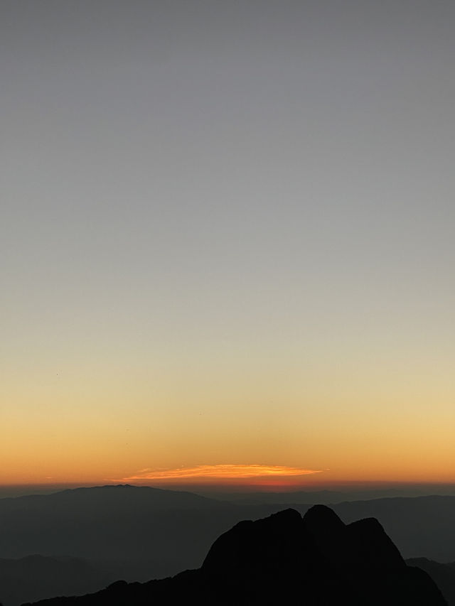 เดินป่า ศึกษาธรรมชาติ ดอยหลวงเชียงดาว ⛰️⭐️