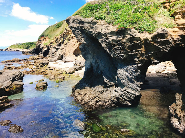 透き通る美しい海×自然が最高すぎる城ヶ崎海岸😍✨ 透き通る美しい海×自然が最高すぎる城ヶ崎海岸😍✨