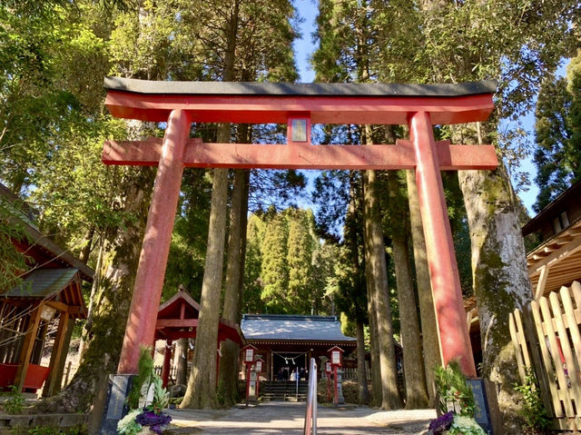 【鹿児島】和氣神社 【鹿児島】和氣神社