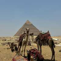 🇪🇬ギザのピラミッド群は古代エジプトの神秘！🗿🏜️✨