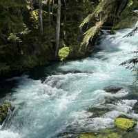Sahalie & Koosah Falls – Oregon’s Twin Cascades on the McKenzie River