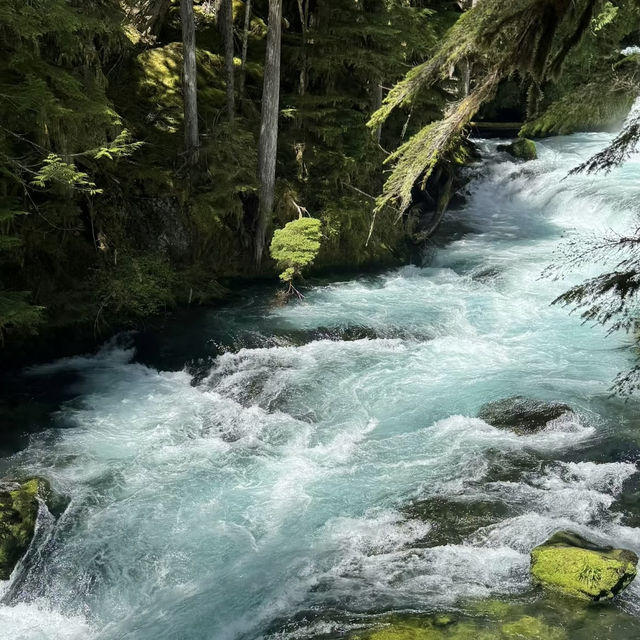 Sahalie & Koosah Falls – Oregon’s Twin Cascades on the McKenzie River