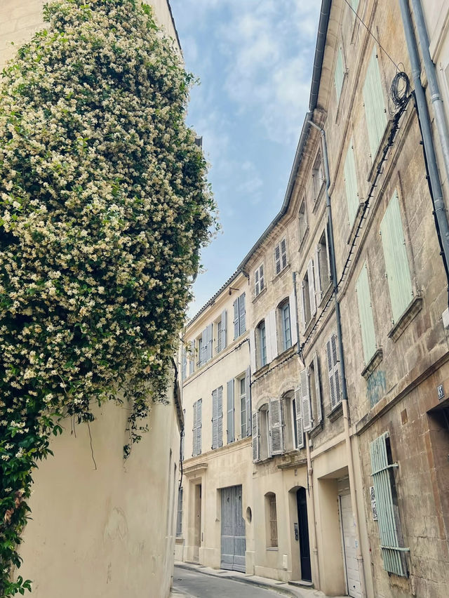 Université d’Avignon – A Journey into Learning & Heritage