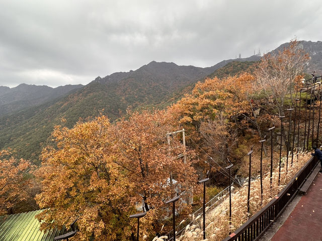 🔥「靈氣滿溢的八公山：一場穿越歷史與自然的心靈朝聖之旅！」🔥