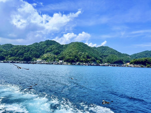 Ine Bay Kyoto 🇯🇵 สวยย So จึ้งใจมากกก 🩵