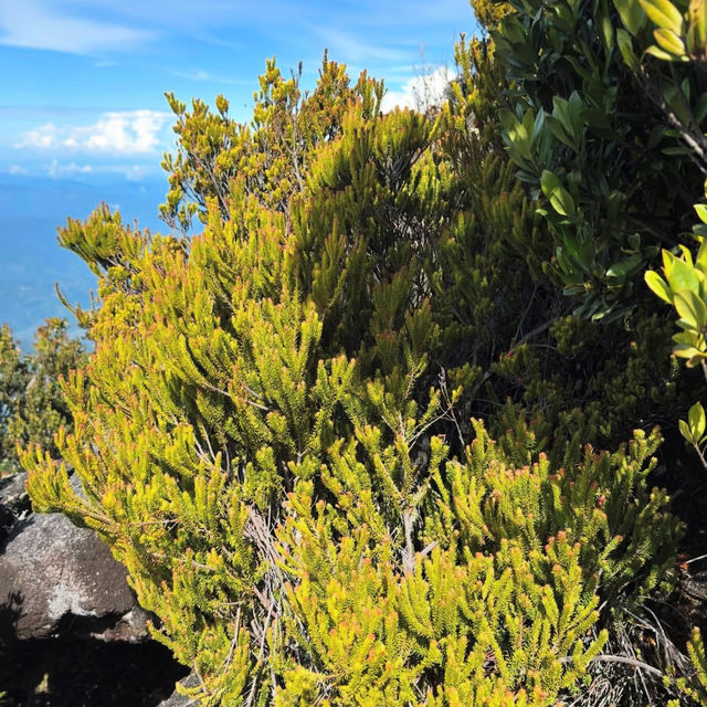 Summiting Mount Kinabalu Summiting Mount Kinabalu