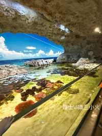 《沖繩親子景點| DMM水族館》