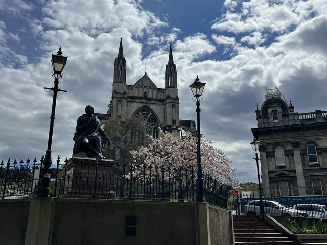 紐西蘭旅遊景點—St. Paul’s Cathedral ⛪️