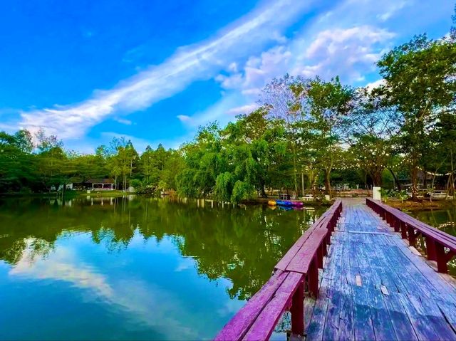 鄉村田園體驗：美蘇克農場（Mesook Farm）