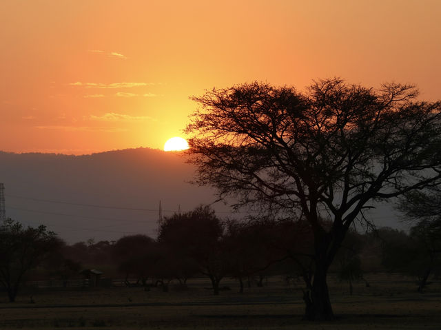8 favourite captures in Tarangire National Park