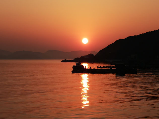 日落下的南蓮園池秘境🌅   日落下的南蓮園池秘境🌅
