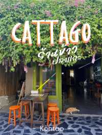 Catta_go!! ข้าวปลาทอดเกาะเต่า 🐢🐟