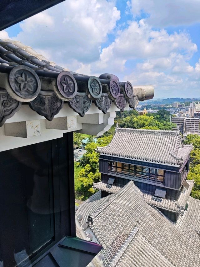 熊本城🏯歷史與🇯🇵重生之旅