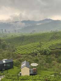 HealingStaycation: Bobocabin Pangalengan