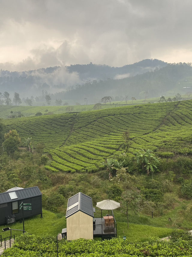 HealingStaycation: Bobocabin Pangalengan