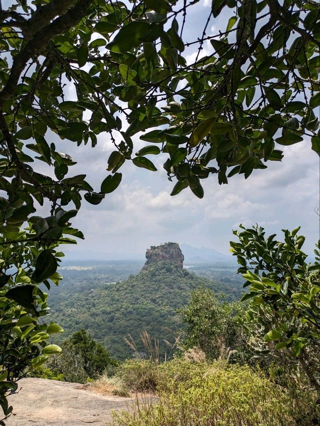 天空の宮殿、シギリヤと絶景のピドゥランガラ⛰️