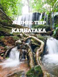 AGUMBE TRIP