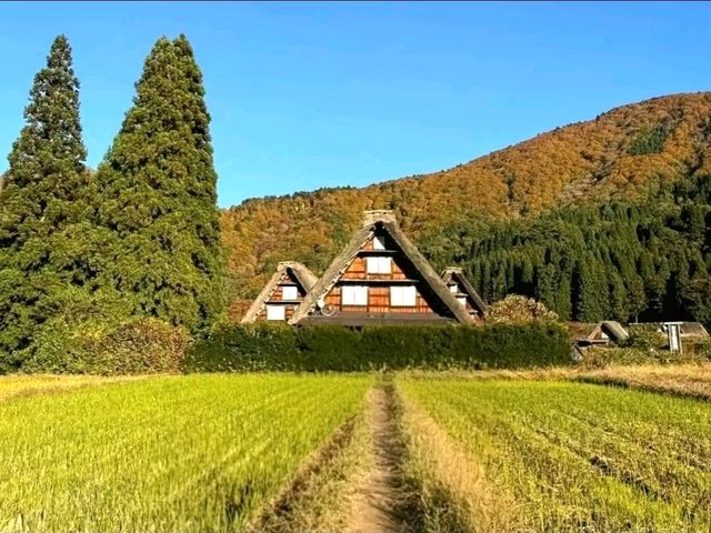 Shirakawa-go: A Fairytale Village in the Mountains
