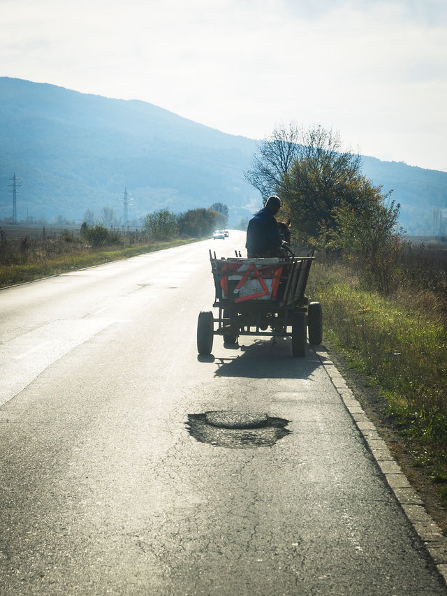 Not just cars on the road Not just cars on the road