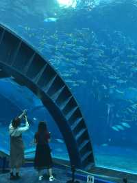 Churaumi Aquarium อควาเรียมสุดอลังการที่โอกินาว่า🐋