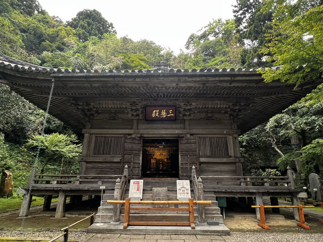 仙台・松島に行くべき5つの理由