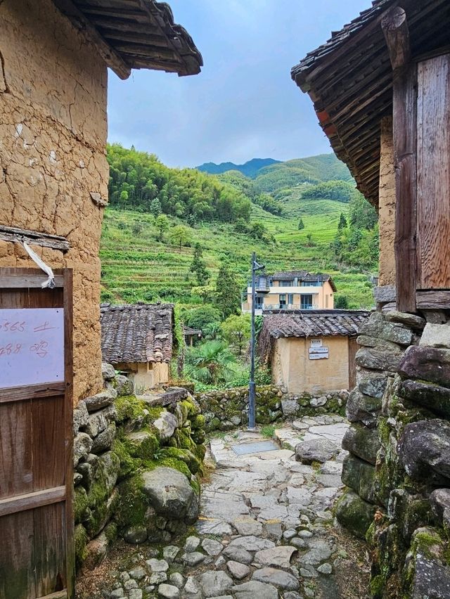 隱世桃花源～坑根石寨