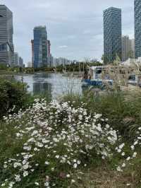 🌿 Songdo Central Park: สวนสวยกลางเมืองอินชอน