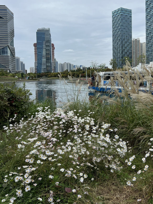 🌿 Songdo Central Park: สวนสวยกลางเมืองอินชอน 🌿 Songdo Central Park: สวนสวยกลางเมืองอินชอน