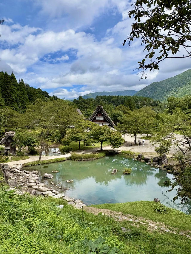 🌾 Golden September in Shirakawa-go, Gifu