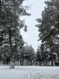 在雪與光之間——冬日土耳其的奇幻